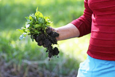 Similar image 21147574