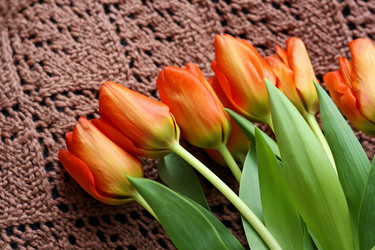 Similar image 21147576