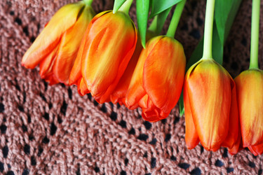 Similar image 21147578