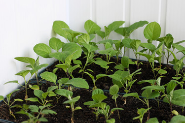 Similar image 21148838