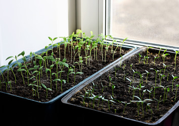 Similar image 21148840