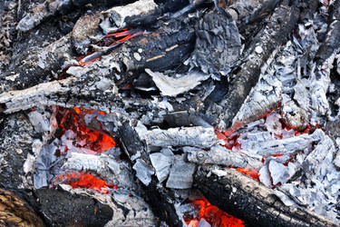 Similar image 21148841