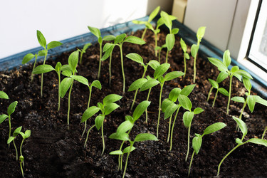 Similar image 21148842