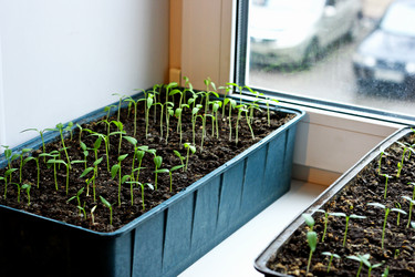 Similar image 21148844