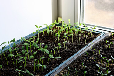 Similar image 21148846