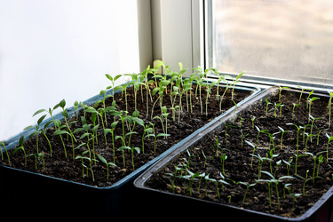 Similar image 21148848