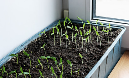 Similar image 21147580