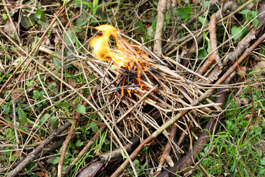 Similar image 21147581