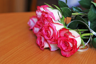 Similar image 21147582