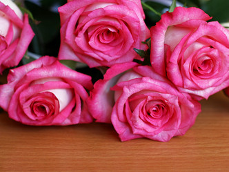 Similar image 21147586