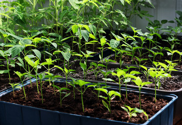 Similar image 21147587