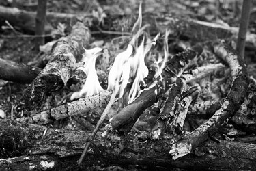 Similar image 21147588