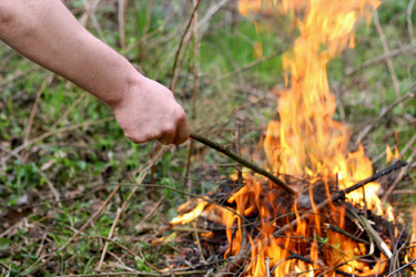 Similar image 21147589