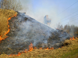 Similar image 21147592