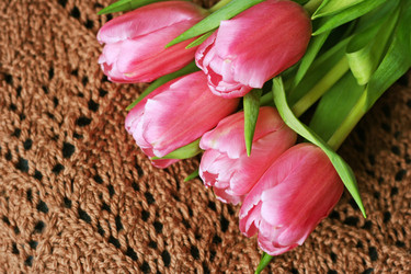 Similar image 21147593