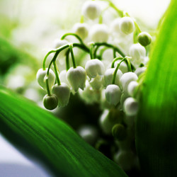 Similar image 21147594