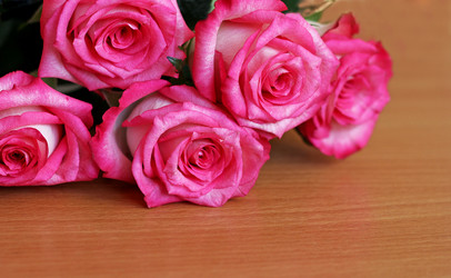 Similar image 21147598