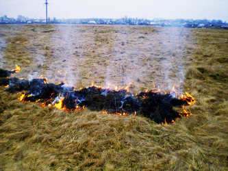 Similar image 21147599