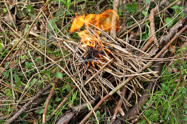 Similar image 21147601