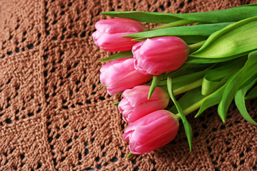 Similar image 21147602