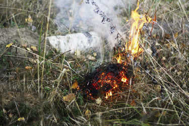 Similar image 21147606