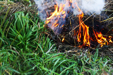 Similar image 21147607