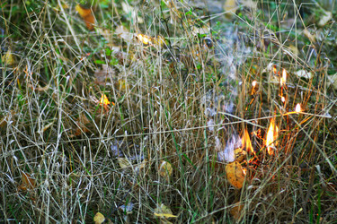 Similar image 21147609