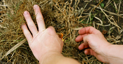 Similar image 21147611