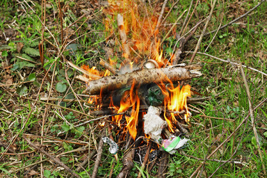 Similar image 21147613