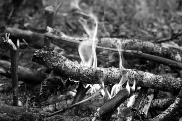 Similar image 21147615