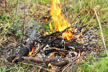 Similar image 21147620