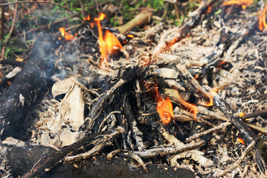 Similar image 21147621