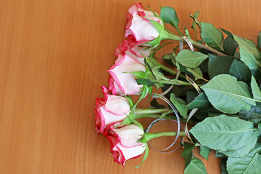 Similar image 21147627