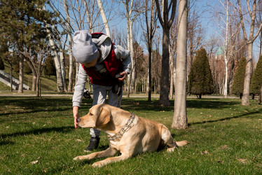 Similar image 21163633