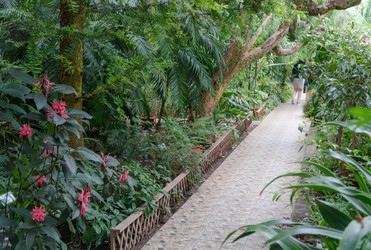 Similar image 21162856