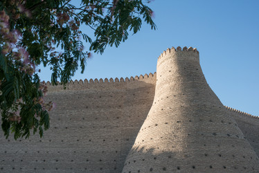 Similar image 21163369