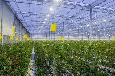 Similar image 21162897