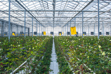 Similar image 21162903