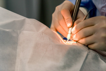 Similar image 21162904