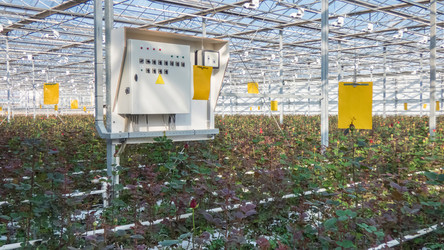 Similar image 21163398