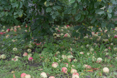 Similar image 21163407