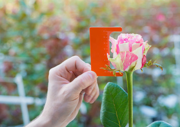 Similar image 21162949