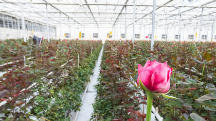 Similar image 21152353