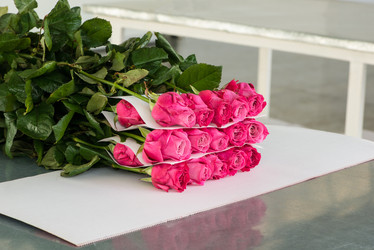 Similar image 21162974