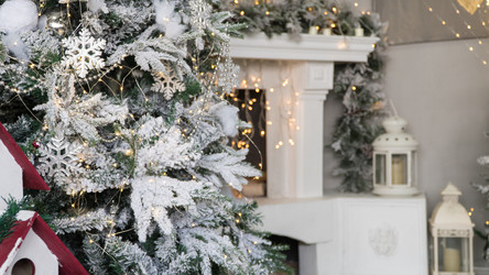 Similar image 21163456