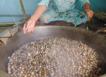 Similar image 21163497