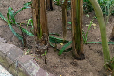 Similar image 21163511