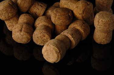 Similar image 21162992