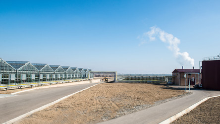 Similar image 21163011