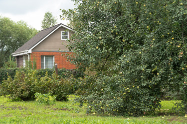 Similar image 21163012